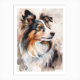 Shetland Sheepdog Watercolor Painting 1 Art Print