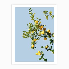 Summer Lemon Tree Illustration Art Print