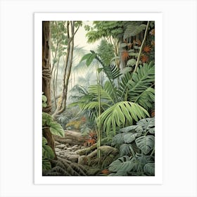 Vintage Jungle Botanical Illustration Monstera 1 Art Print