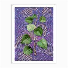 Vintage Quaking Aspen Botanical Illustration on Veri Peri 1 Art Print