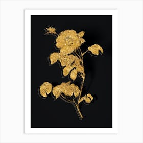 Vintage Vintage Rose Botanical in Gold on Black n.0108 Art Print