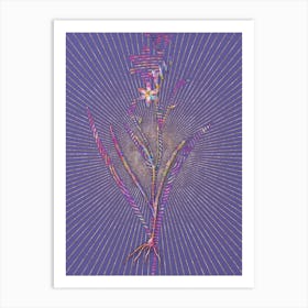 Geometric Ixia Secunda Mosaic Botanical Art on Veri Peri n.0088 Art Print