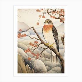 Bird Illustration Eurasian Sparrowhawk 4 Art Print