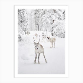 Snowy Reindeer Scenery Art Print