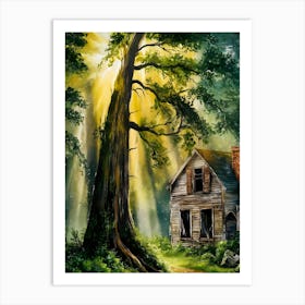 Old House In The Woods Art Print