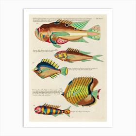 Colourful And Surreal Illustrations Of Fishes Found In Moluccas (Indonesia) And The East Indies, Louis Renard(27) Art Print