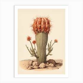 Vintage Cactus Illustration Barrel Cactus 2 Art Print