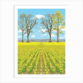 Rapeseed Field 1 Art Print