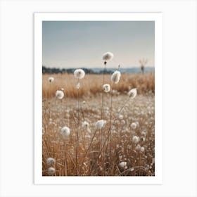 Cotton Field Art Print