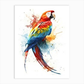 Colorful Parrot Art Print