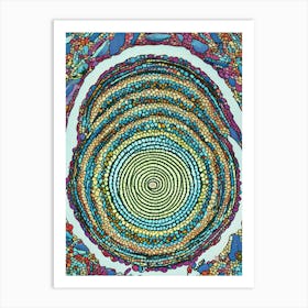 Circle Of Stones Art Print