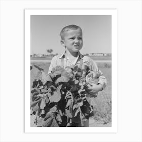 Little Boy With Sack Of Vegetables From The Community Garden At The Casa Grande Valley Farms, Pinal County 1 Art Print