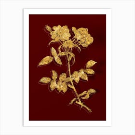 Vintage Lady Monson Rose Bloom Botanical in Gold on Red n.0398 Art Print