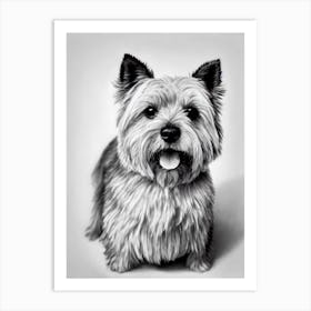 Norwich Terrier B&W Pencil Dog Art Print
