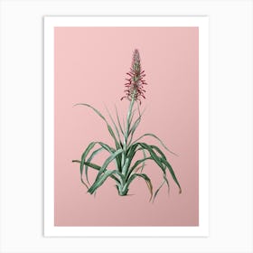 Vintage Pina Cortadora Botanical on Soft Pink n.0235 Art Print