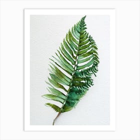 Felt Fern Watercolour Art Print