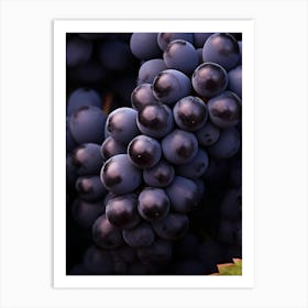 Black Grapes 6 Art Print