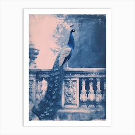 Peacock Outside Teh Palace Cyanotype Inspired Art Print