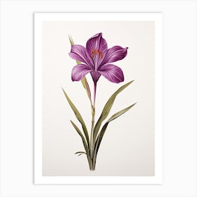 Saffron Vintage Botanical Herbs 1 Art Print