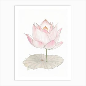 Lotus Flower In Garden Pencil Illustration 2 Art Print