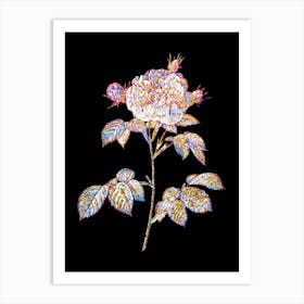 Stained Glass Vintage Rosa Alba Mosaic Botanical Illustration on Black n.0221 Art Print