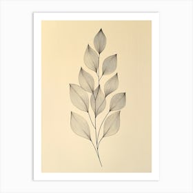 Leaf Drawing 1 Art Print