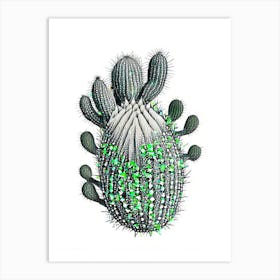 Turk S Head Cactus William Morris Inspired 3 Art Print