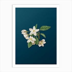 Vintage Crabapple Botanical Art on Teal Blue n.0268 Art Print