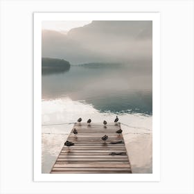 Ducks On Dock Art Print