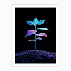 Plant Growing In The Dark 6 Art Print