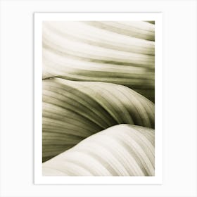 Wavy Leaves Art Print