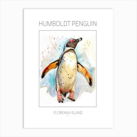 Humboldt Penguin Floreana Island Watercolour Painting 2 Poster Art Print