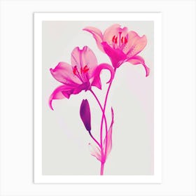 Hot Pink Lily 2 Art Print