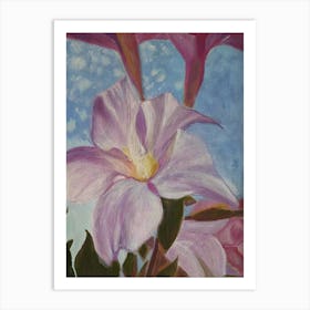 Dipladenia Pink,acrylic  Art Print