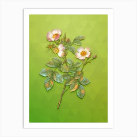 Vintage Short Styled Field Rose Botanical Art on Love Bird Green n.0586 Art Print