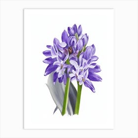 Hyacinth Wildflower Watercolour Art Print