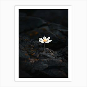 White Flower On A Rock 1 Poster