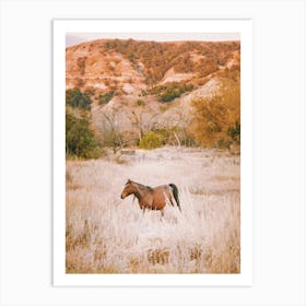 Horse In Desert Meadow Art Print