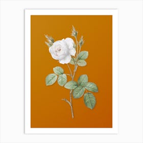 Vintage White Misty Rose Botanical on Sunset Orange n.0896 Art Print