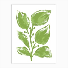 Big Green Leaves Art Print