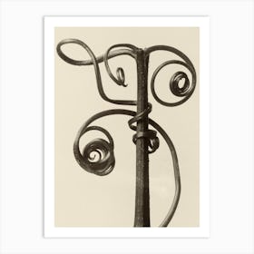 Cucurbita, Karl Blossfeldt Art Print