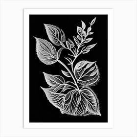 Oregano Leaf Linocut 5 Art Print