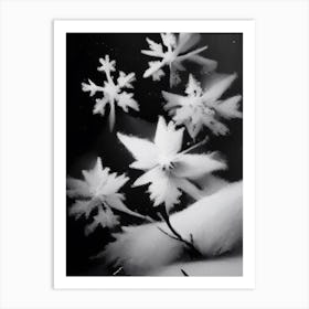 Delicate, Snowflakes, Black & White 1 Art Print