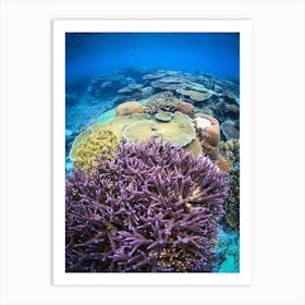 Life Under the Sea Art Print