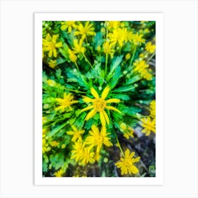 Yellow Flowers 202309231717177rt1pub Art Print