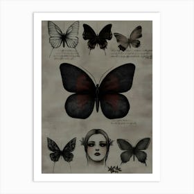 Collection Of Butterflies Art Print