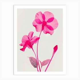 Hot Pink Impatiens 2 Art Print