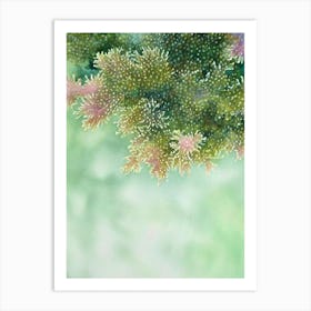 Acropora Millepora V Storybook Watercolour Art Print