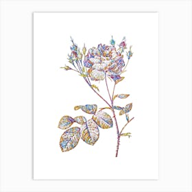 Stained Glass Pink Cumberland Rose Mosaic Botanical Illustration on White Art Print