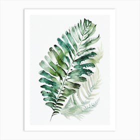 Fan Fern Watercolour Art Print